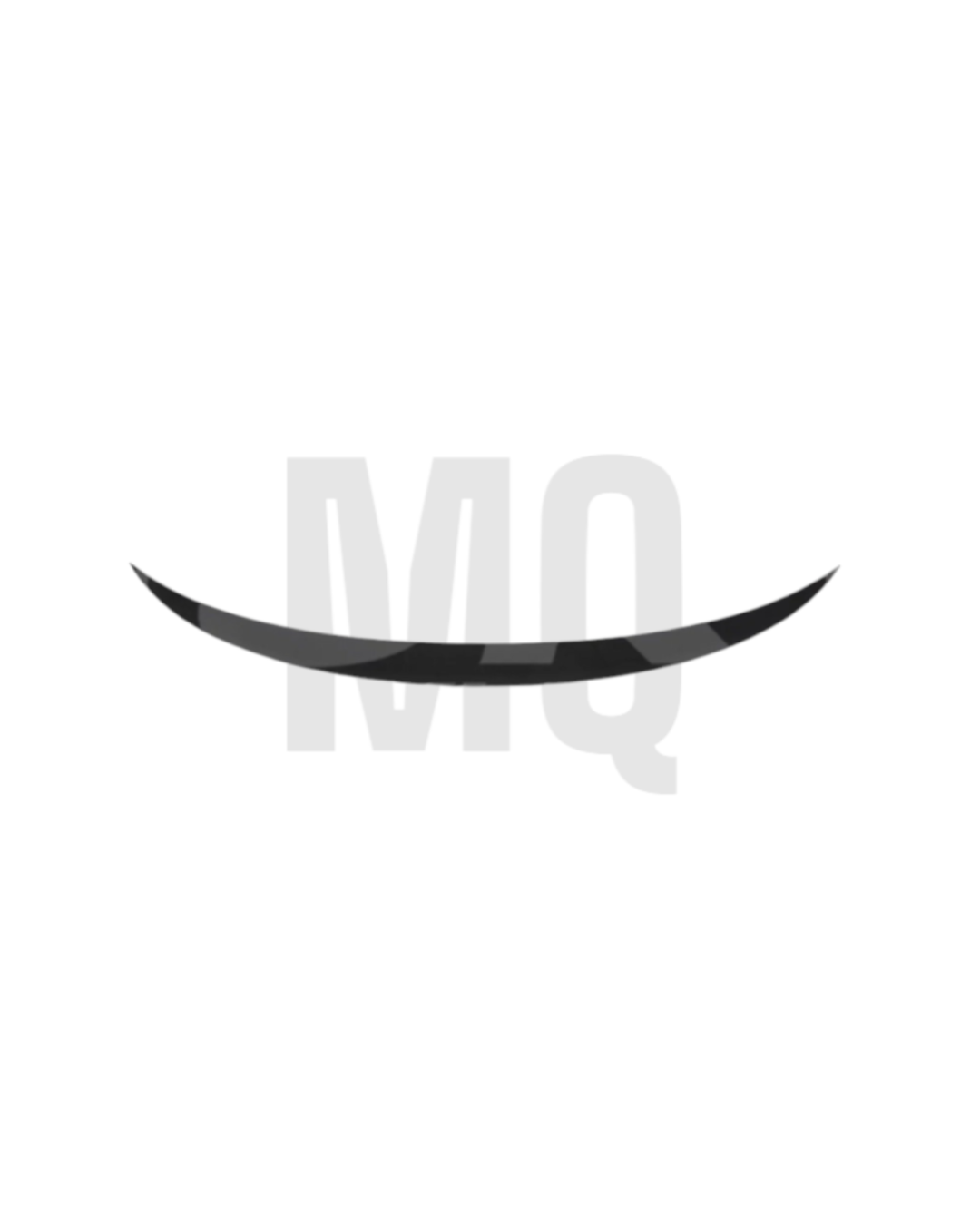 Spoiler - BMW X6 F16 (2013 - 2018)